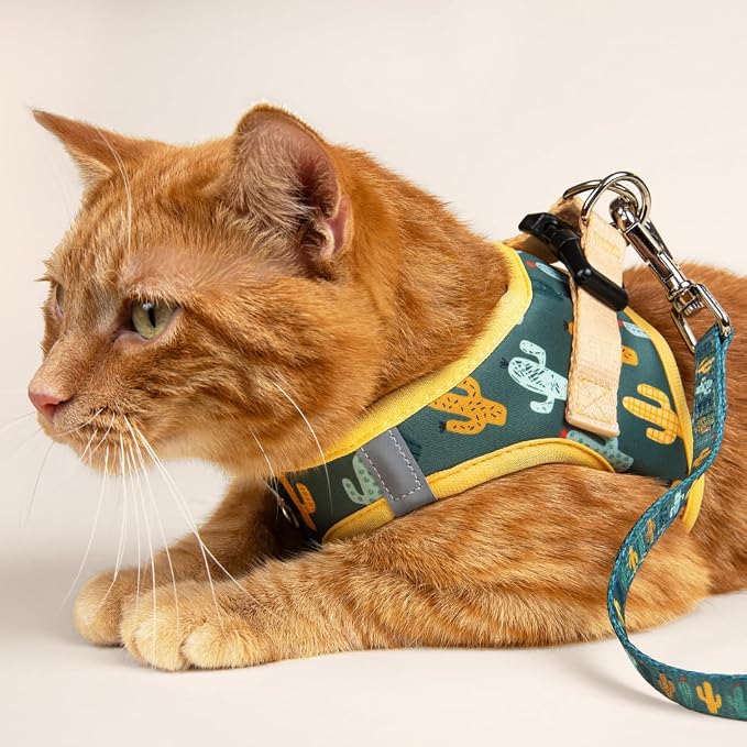Lucy & Co. Looking Sharp Step-in Cat Harness & Leash Bundle – Reflective - Image 6