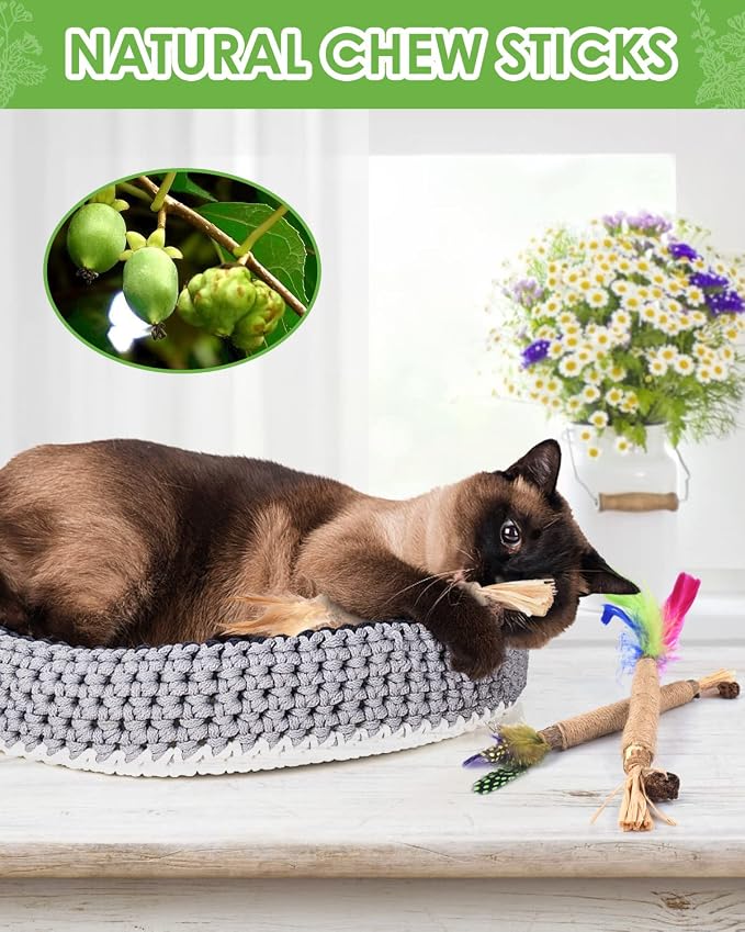 TINDTOP Silvervine Chew Sticks for Cats, Natural Catnip Chew Toys for Kittens - Image 5