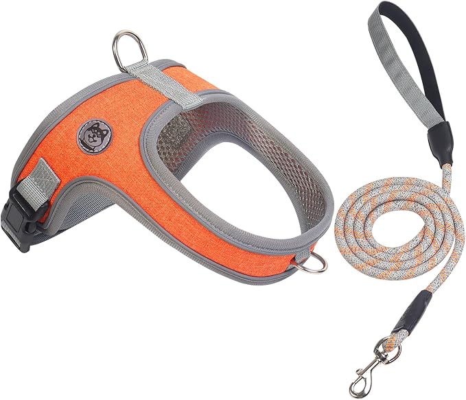 Dog Harness and Leash Set, No Pull Saddle Style Pet Harness, Breathable Mesh by Mengbeitribe