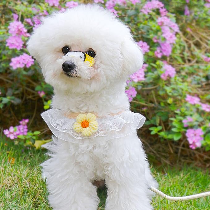 Cat Harness Collar and Leash Set, Sweet Lace Floral Kitten Collar, Escape Proof - Image 7
