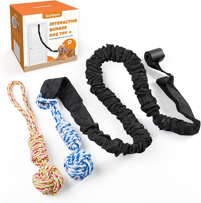 LOOBANI Spring Pole Dog Rope Toys by LOOBANI