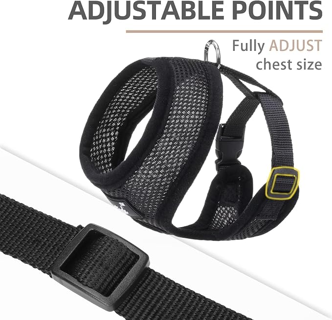 PUPTECK Soft Mesh Dog Harness and Leash Set Pet Puppy Cat Comfort Padded Vest - Image 3