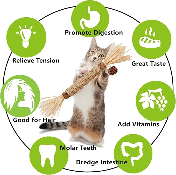 Cat Toys 10Pack Silvervine Chew Stick Kitten Treat Catnip Matatabi Toy Kitty - Image 4