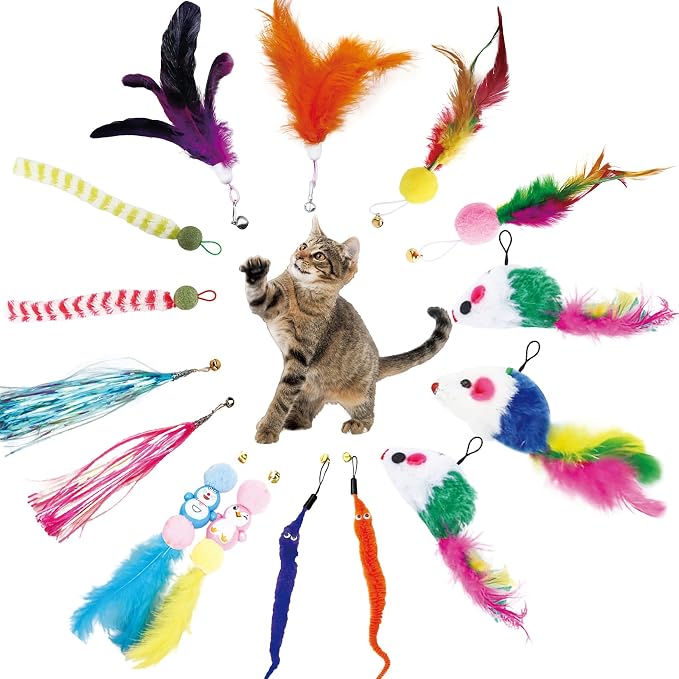 15PCS Cat Wand Toy Accessories, Cat Feather Toy Attachments Replacements by KITCHSTAR