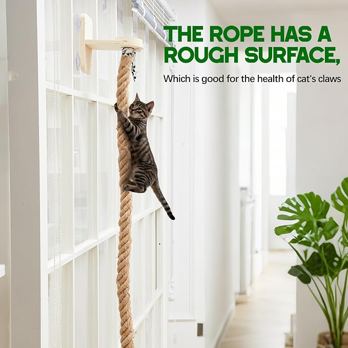 Weysat Cat Climbing Rope 2 Pcs Window Perch - Image 5