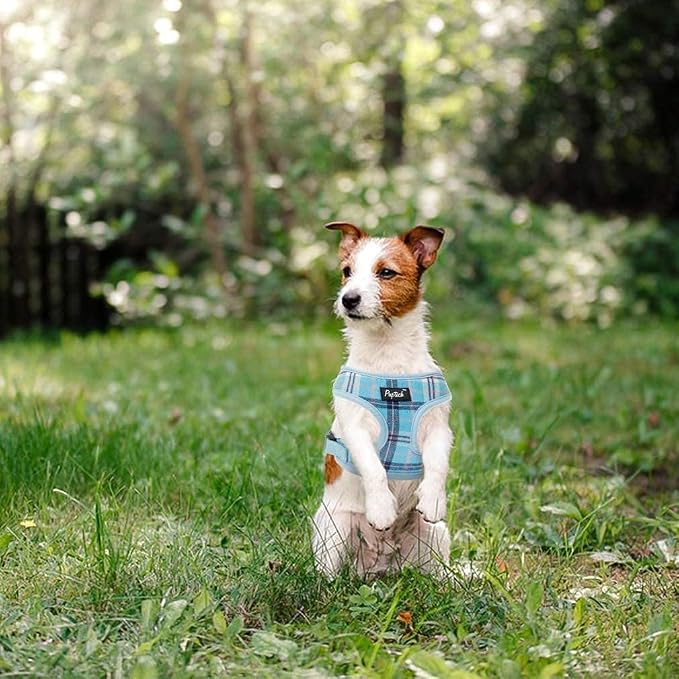 PUPTECK Soft Mesh Dog Harness and Leash Set Pet Puppy Cat Comfort Padded Vest - Image 7