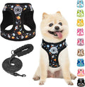 BEAUTYZOO Dog Harness Small Sized and Leash Set, Step-in Soft Padded Mesh Puppy by BEAUTYZOO