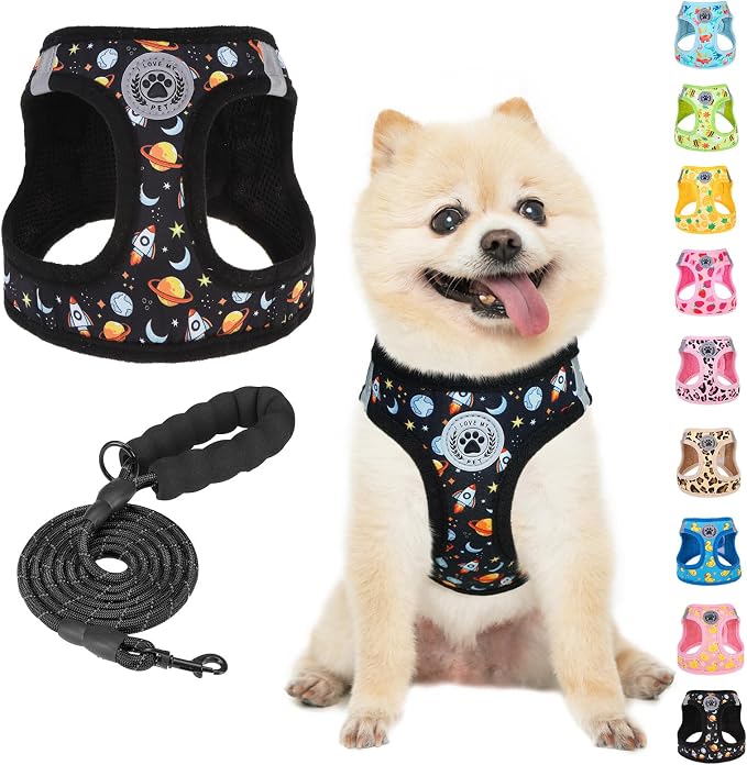 BEAUTYZOO Dog Harness Small Sized and Leash Set, Step-in Soft Padded Mesh Puppy by BEAUTYZOO