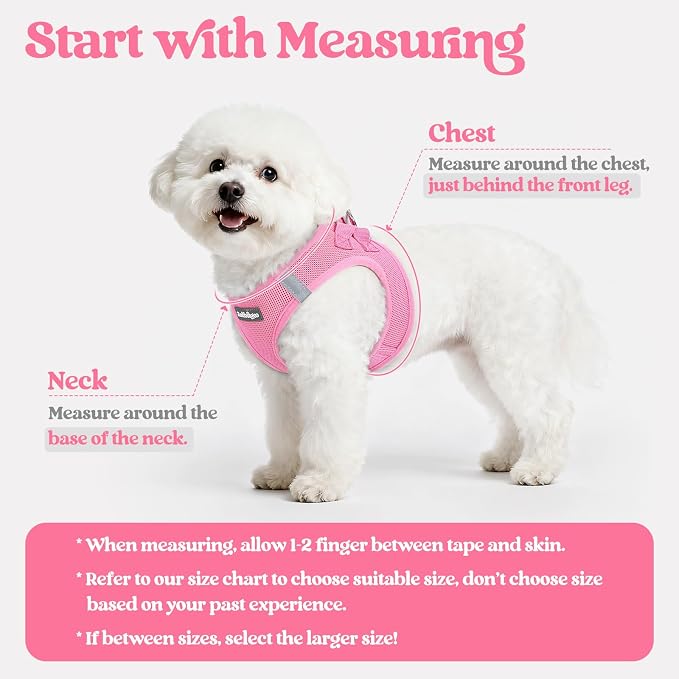rabbitgoo Dog Harness Medium Sized and Leash Set, Step in Soft Light Puppy Vest - Image 2