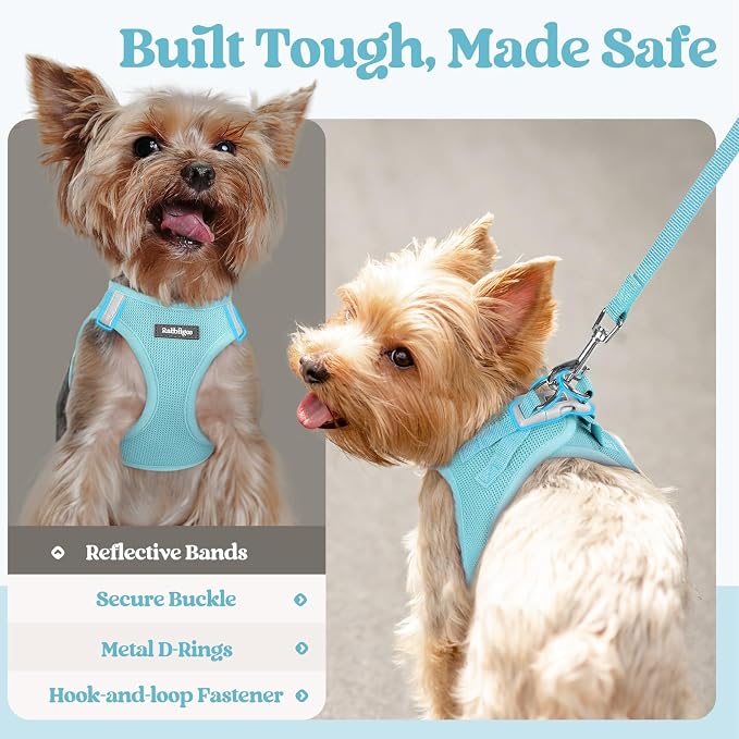 rabbitgoo Dog Harness Small Sized and Leash Set, Step in Soft Light Puppy Vest - Image 7