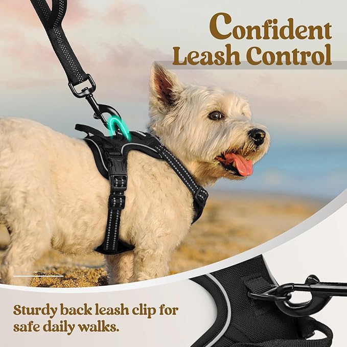 rabbitgoo Dog Harness No Pull - Image 6