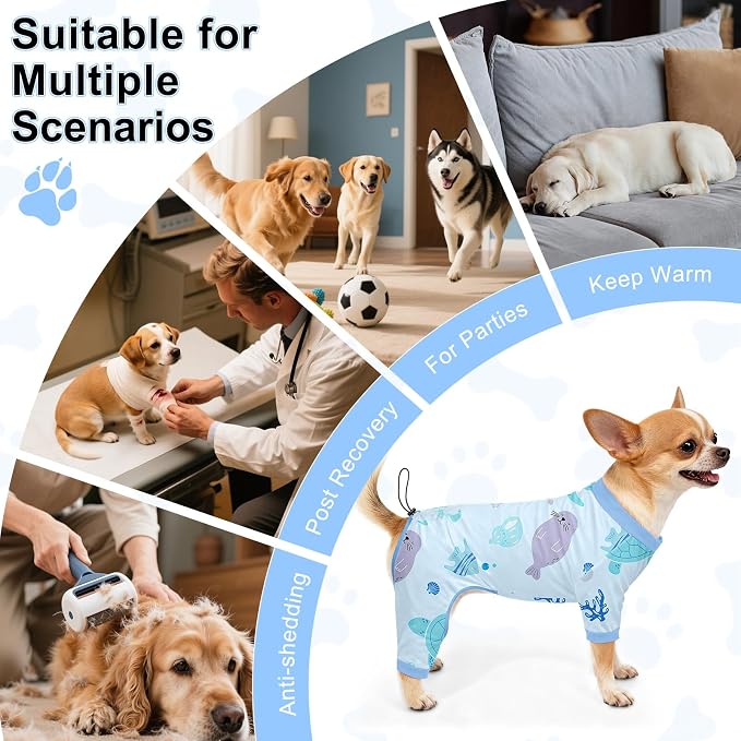 Bienbee Dog Pajamas, 4 Pack Dog Recovery Suit Shedding Suit Cute Soft Puppy - Image 7