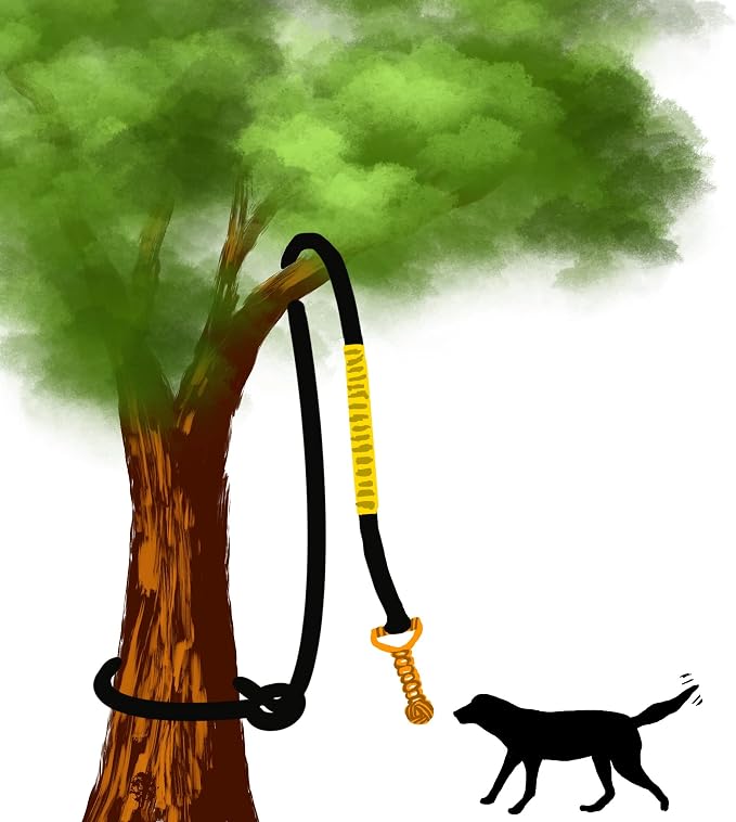 Dog Bungee Toy 20.35 ft Reinforced Interactive Rope - Image 7