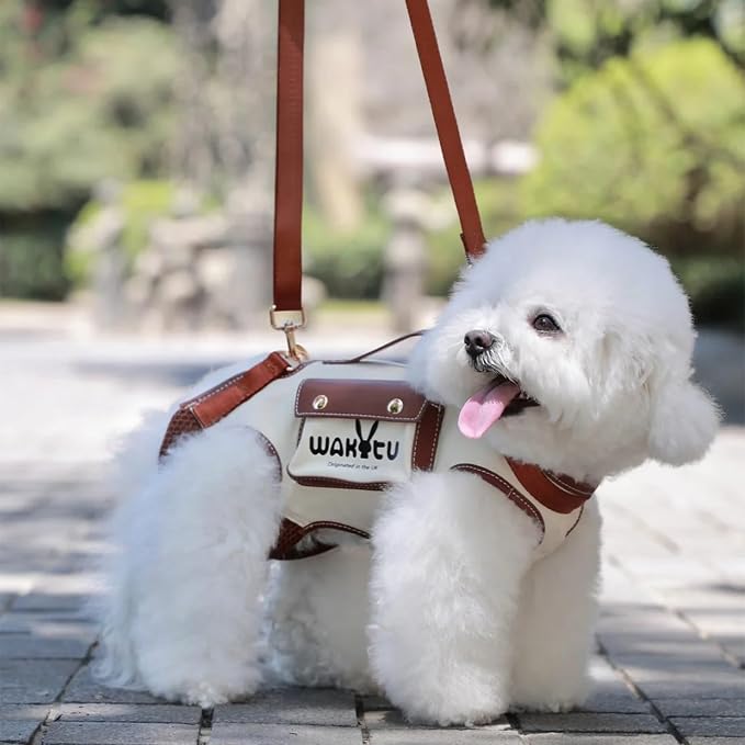 Dog Lift Harness Dog Carrier VES Harness Adjustable Leash - Image 2