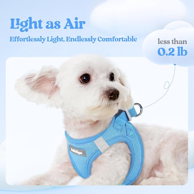 rabbitgoo Dog Harness Small Medium Sized and Leash Set, Step in Soft Light - Image 4