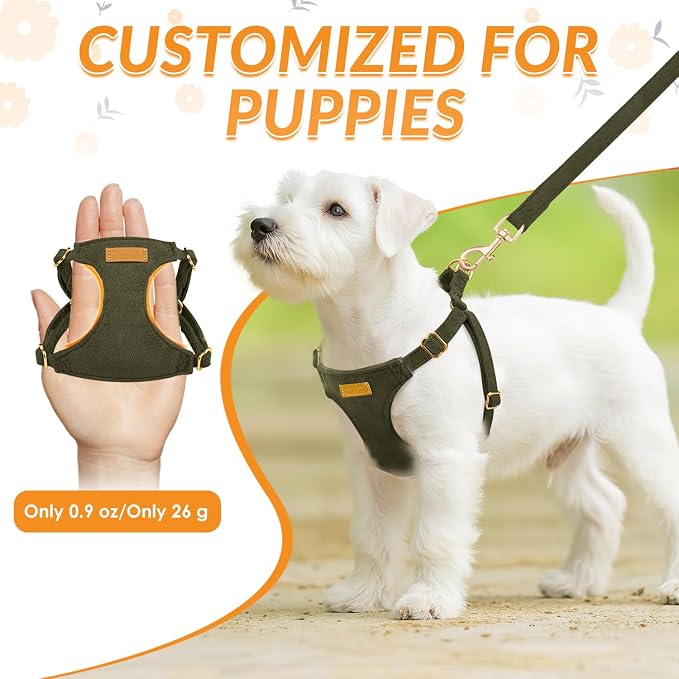 SlowTon Dog Harness Small Sized Dog - Image 2