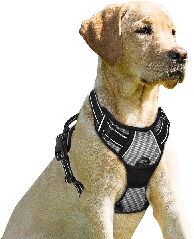 BARKBAY No Pull Dog Harness Front Clip Heavy Duty Reflective Easy Control Handle by BARKBAY