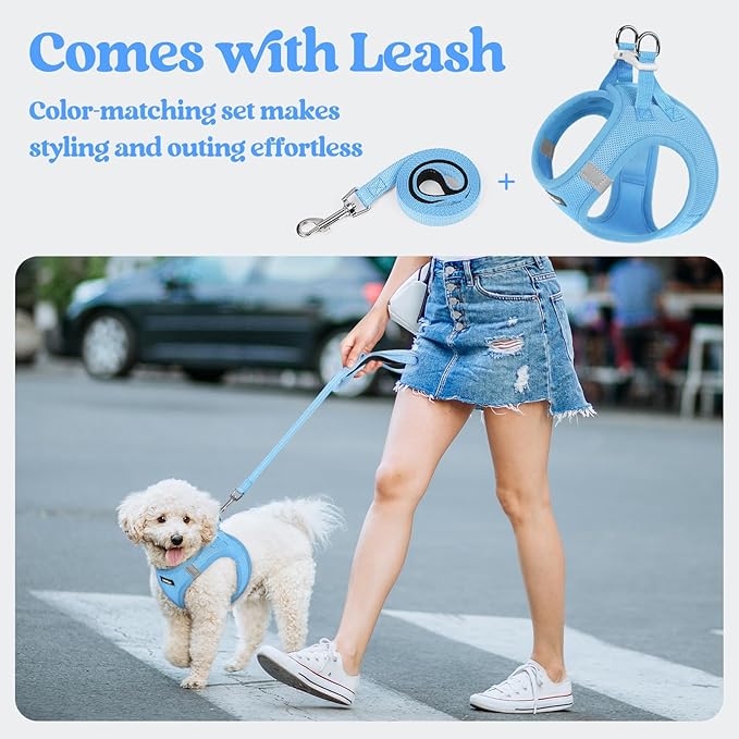 rabbitgoo Dog Harness Small Medium Sized and Leash Set, Step in Soft Light - Image 5
