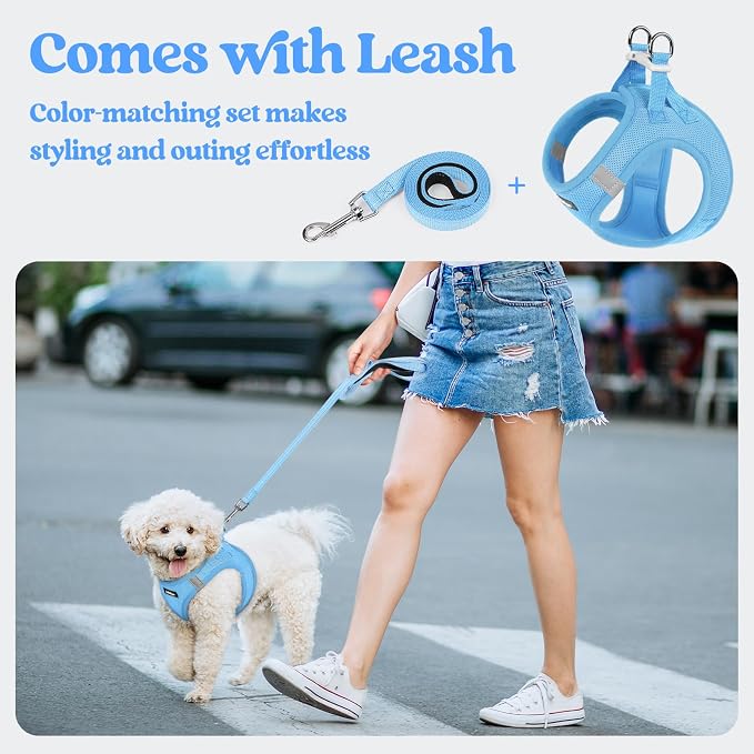 rabbitgoo Dog Harness Small Sized and Leash Set, Step in Soft Light Puppy Vest - Image 5