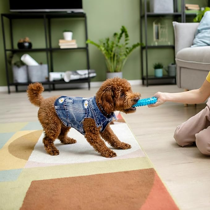 Dog Denim Jacket with Embroidered Daisy, Ripped Vintage Jean Vest - Image 5
