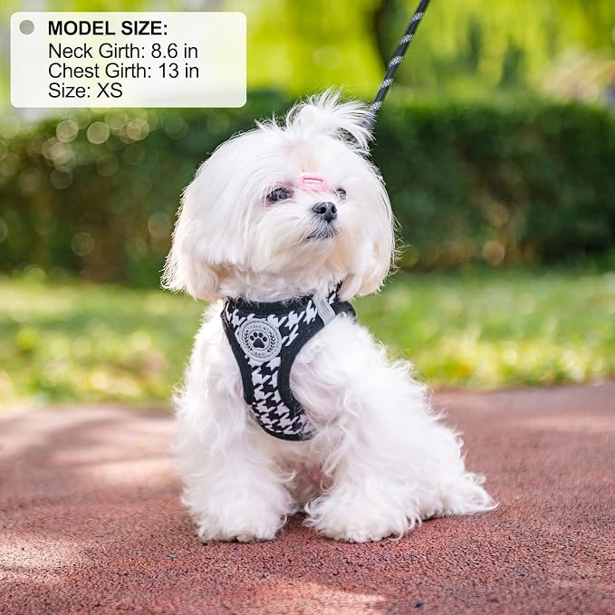BEAUTYZOO Small Dog Harness and Leash Set, Step in No Choke No Pull Soft Mesh - Image 8