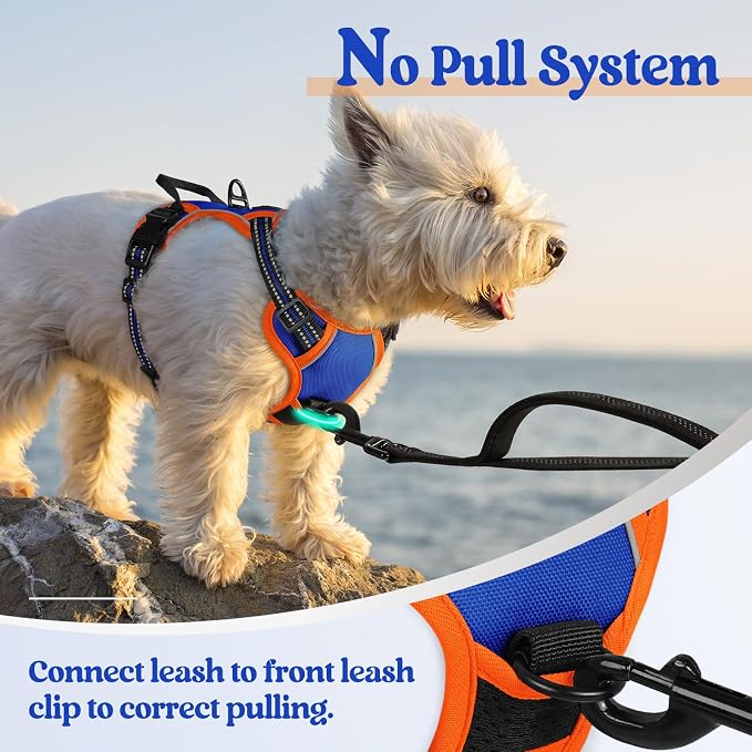 rabbitgoo Dog Harness No Pull - Image 5