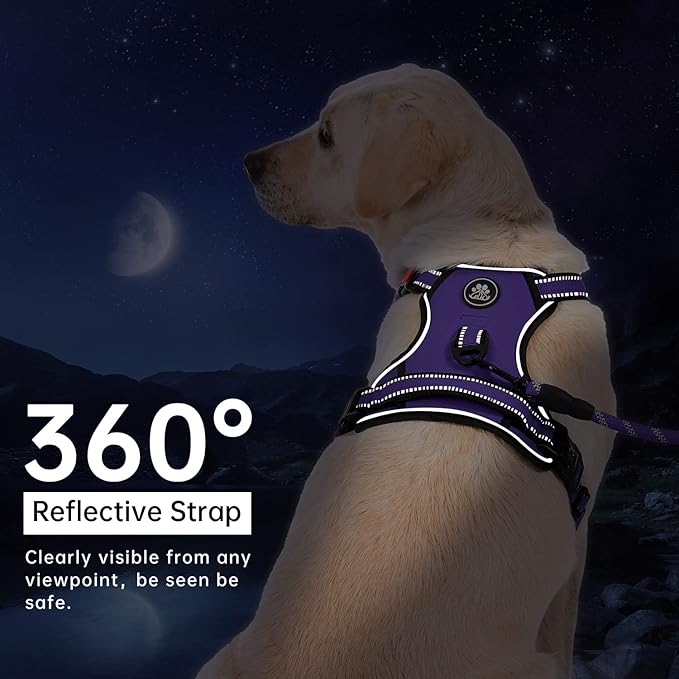 IVY&LANE No Pull Dog Harness for Medium Dogs, Dog Vest Harness - Image 6