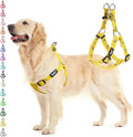 PUPTECK No Pull Dog Harness Soft Adjustable Basic Nylon Step in Puppy Vest by PUPTECK