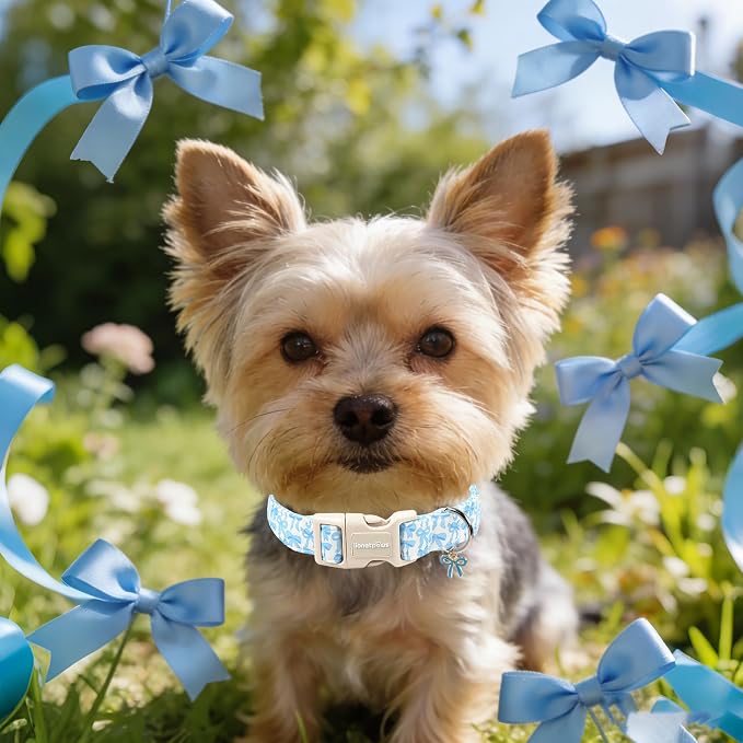 Lionet Paws Summer Dog Collar- Cute Blue Bow Dogs Collar - Image 4