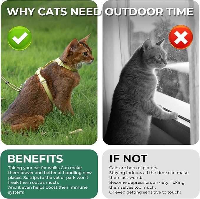 Cat Harness and Leash Set - Image 7