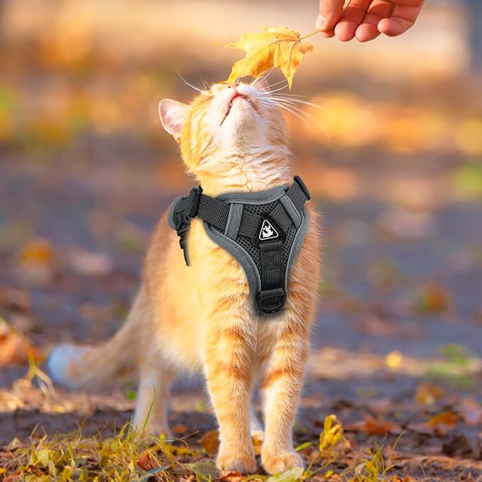 Cat Harness and Leash for Walking Soft Cat Harness Escape Proof, Adjustable - Image 6