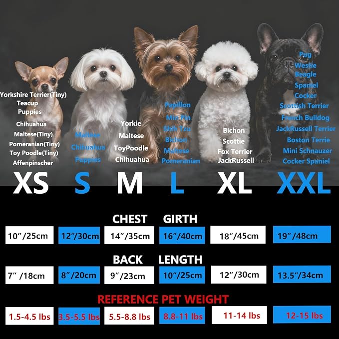 Puppy Harness Jacket for Small Dogs - Image 2
