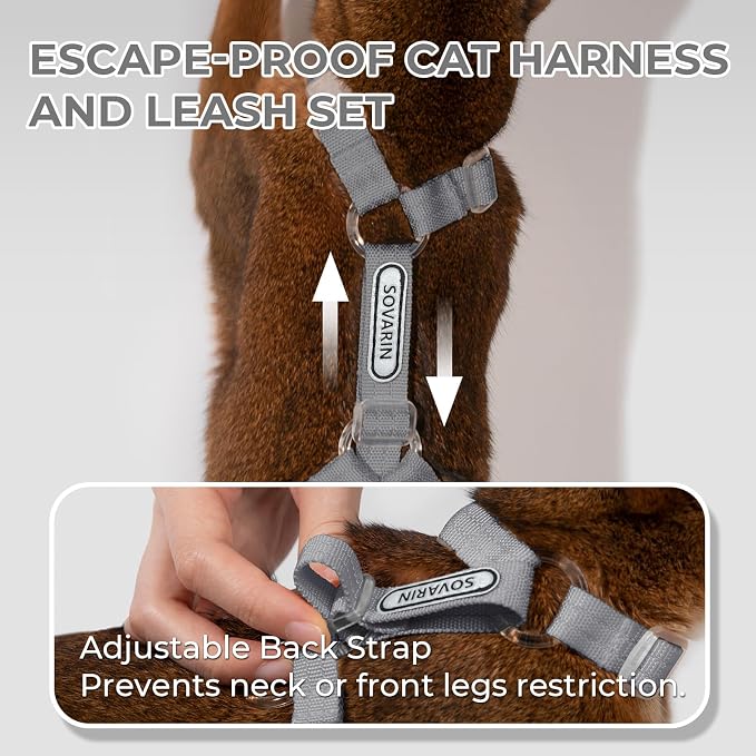 Cat Harness and Leash Set - Image 3