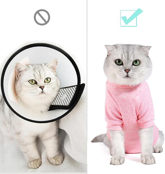 Dotoner Cat Surgery Recovery Suit - Image 3