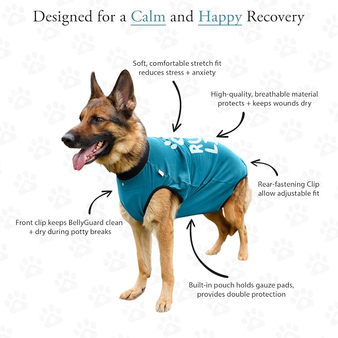 BellyGuard Dog Surgery Recovery Suit, Dog Onesie - Image 4