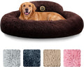 PetJett Dog Beds Large Sized Dog by PETJETT