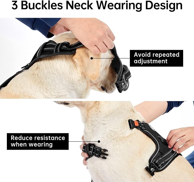 IVY&LANE No Pull Dog Harness for Medium Dogs, Dog Vest Harness - Image 4