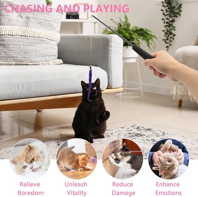 Hypeety Cat Toys for Indoor Cats Interactive Retractable Fishing Pole Wand - Image 4