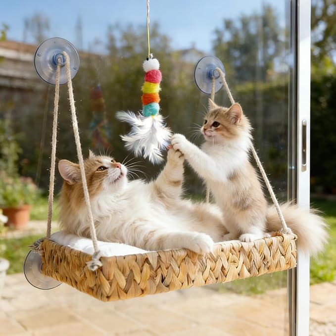 Cat Window Perch with Industrial-Grade Suction Cups and Ball Toy, Cat Window - Image 5