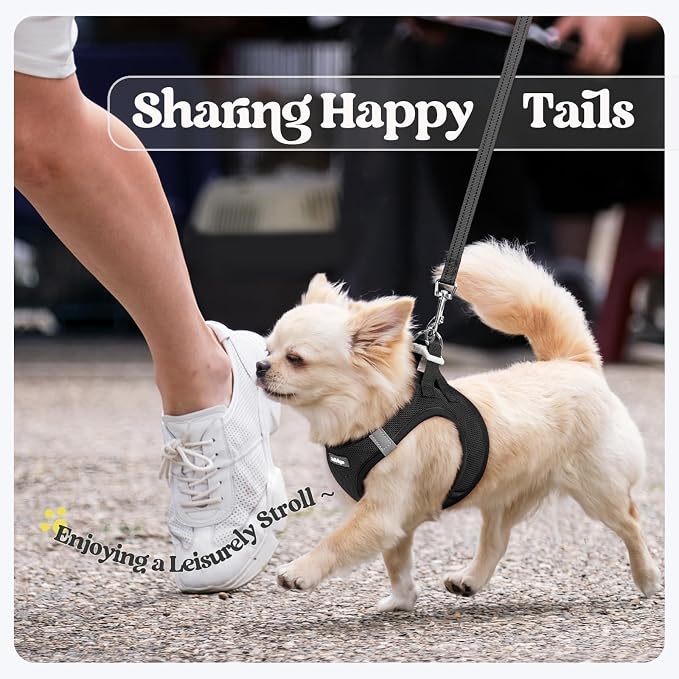 rabbitgoo Dog Harness Small Sized and Leash Set, Step in Soft Light Puppy Vest - Image 9