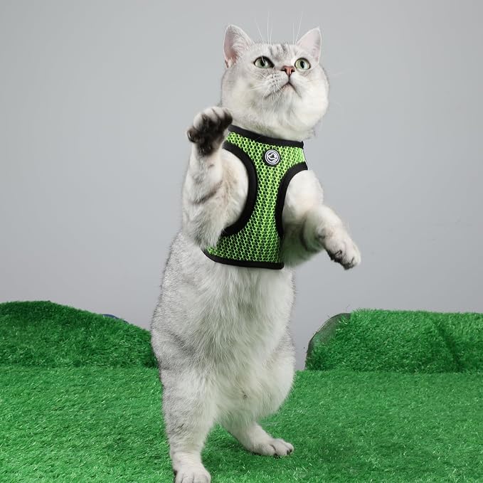 No Pull Small Dog Harness Tiny Dog Harness - Image 3