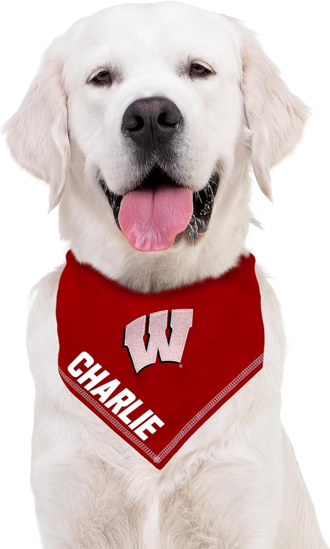 NCAA Wisconsin Badgers Personalized Tie Bandana - Image 4