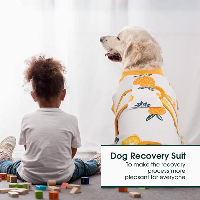 Kuoser Recovery Suit for Dogs Cats After Surgery, Professional Pet Recovery - Image 5