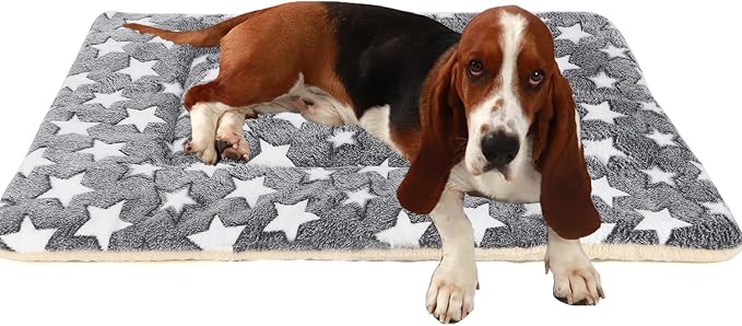 Dog Bed Pet mat Dog Box mat Machine Washable Grey by Unknown