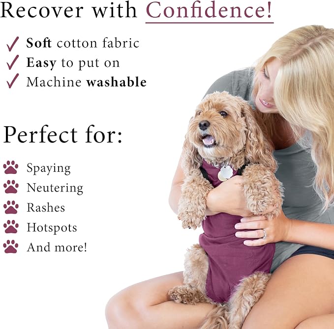 BellyGuard Dog Surgery Recovery Suit, Dog Onesie - Image 3