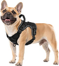 WINGOIN Black Tactical Dog Harness by WINGOIN