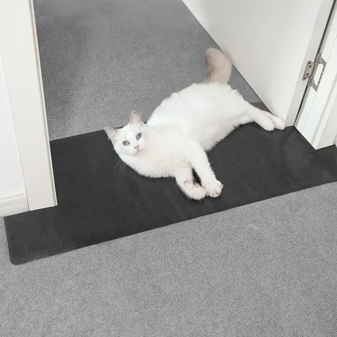 Carpet Protector for Pets Cat Carpet Protector for Doorway, Anti Scratch Under by Oroonoko
