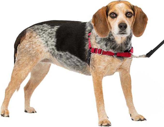 PetSafe Easy Walk No-Pull Dog Harness by PetSafe