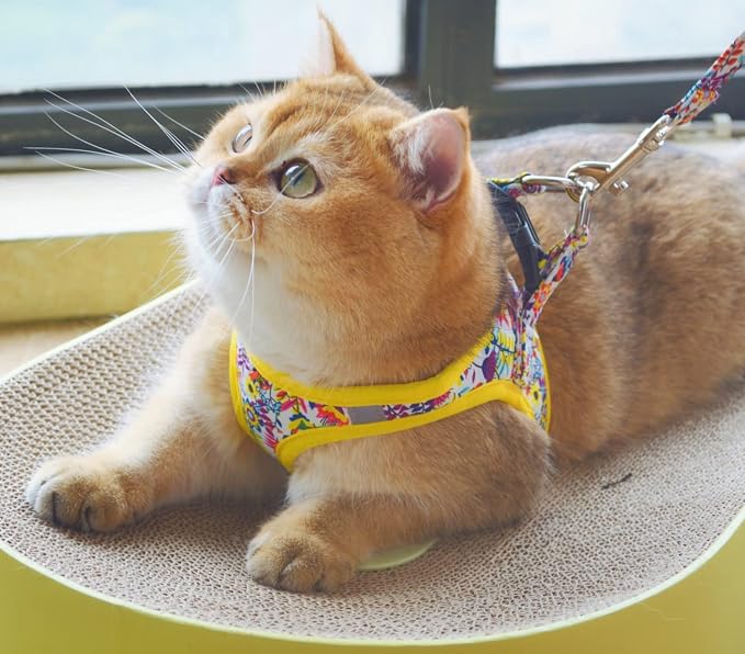 Moonpet Step in Dog Harness Leash Set- All Weather Reflective No-Pull Floral - Image 4