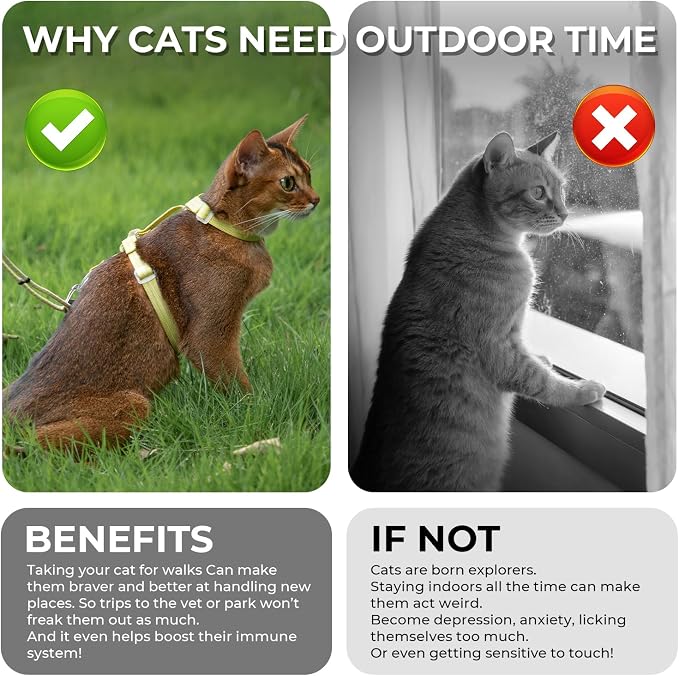 Cat Harness and Leash Set - Image 8